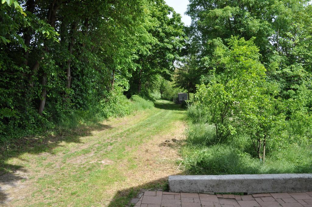 Ferienwohnung Kaestle Bad Bergzabern Εξωτερικό φωτογραφία